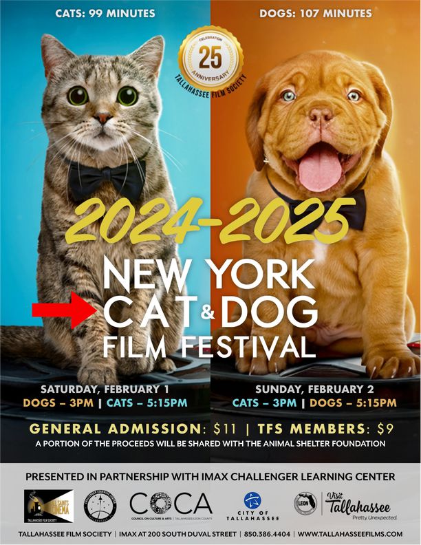 Cat & Dog Film Festival 2024-2025: CATS (@ CLC)